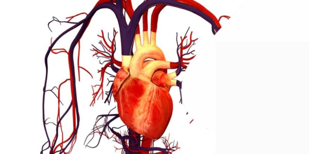 O que é taquicardia ventricular Fascicular?