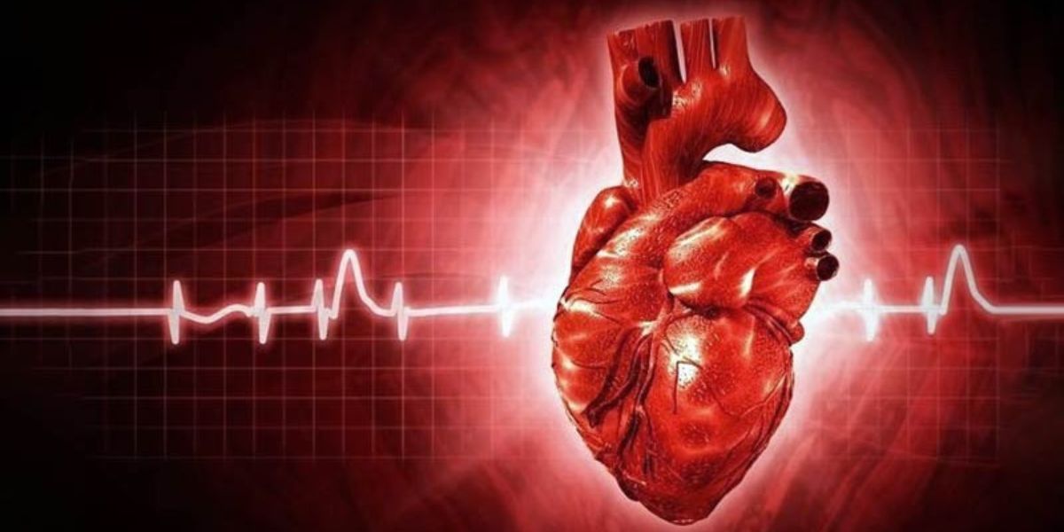 Você está visualizando atualmente Você conhece a fibrilação atrial?